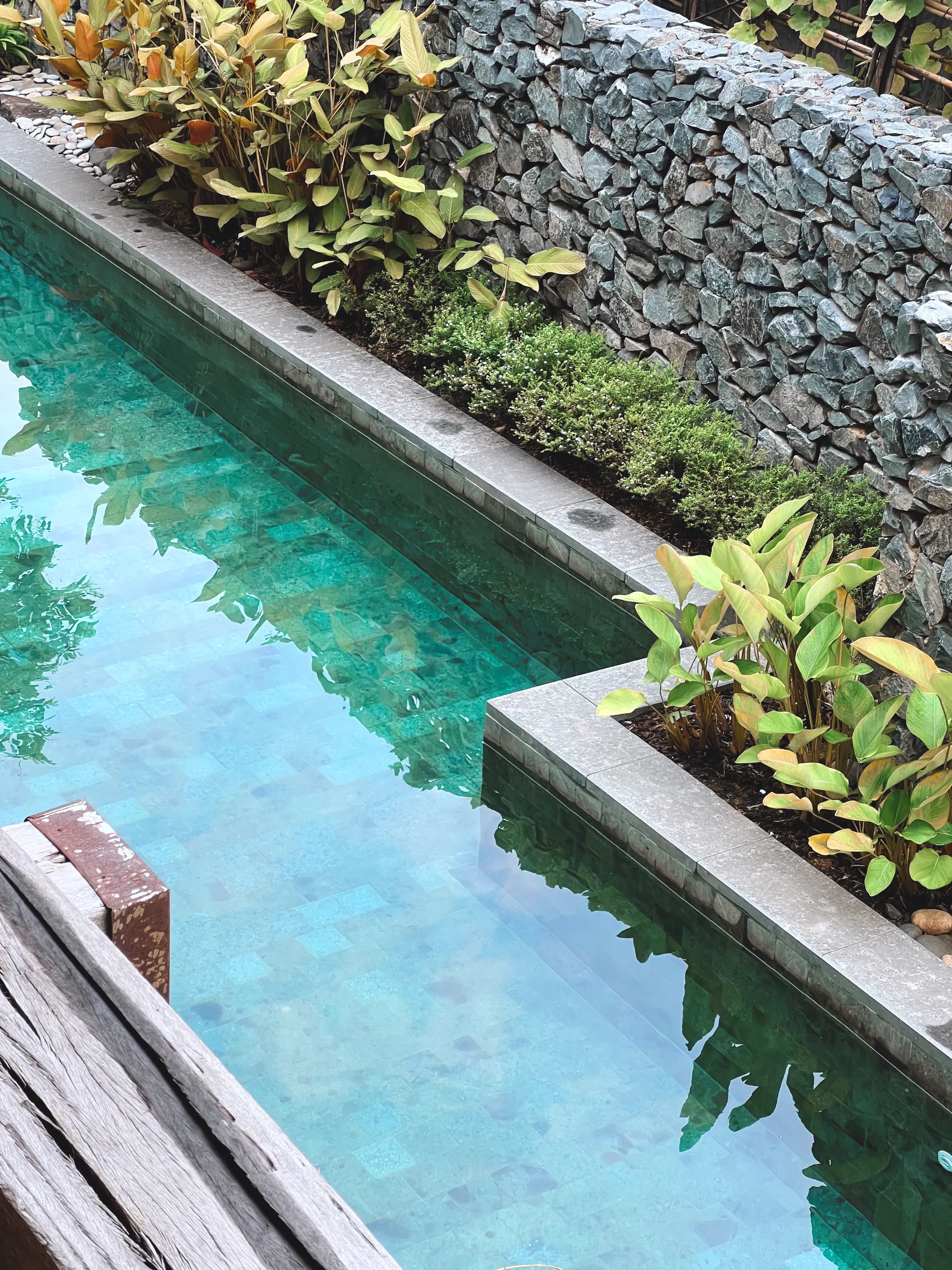 Moderner Naturpool mit klarem Wasser, Steinrand und begrünter Umrandung