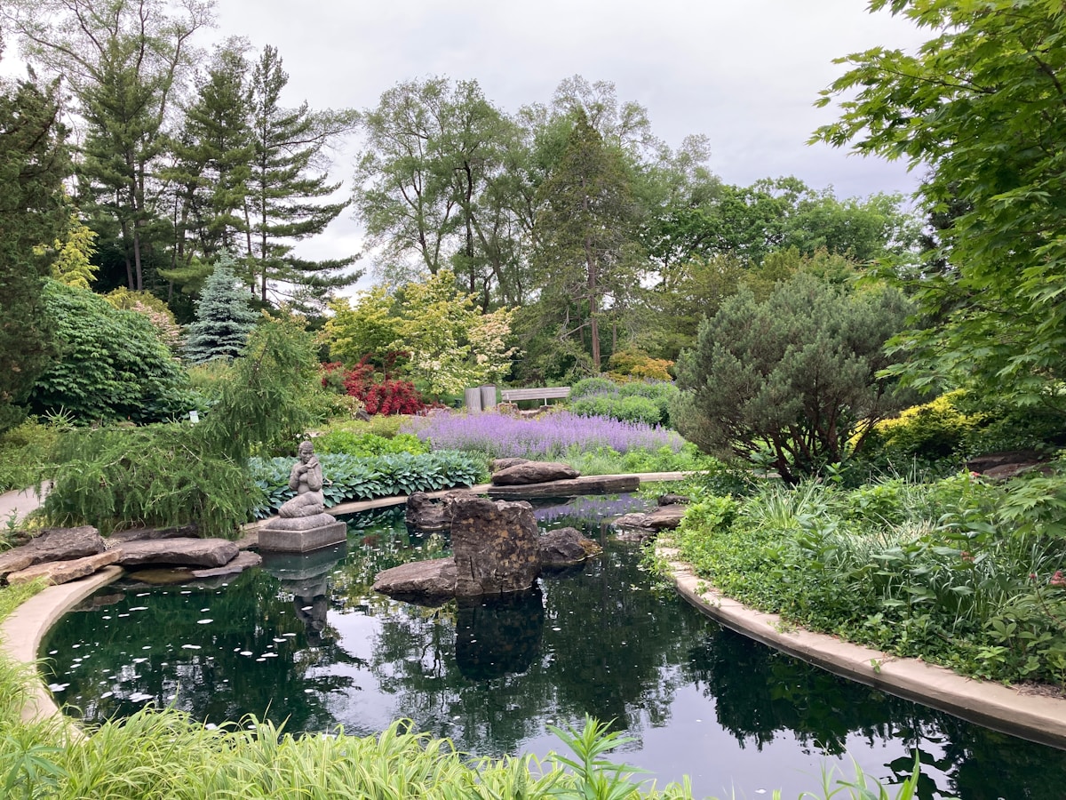 Gepflegter Gartenteich mit Bepflanzung — After-Sales-Service Naturpool